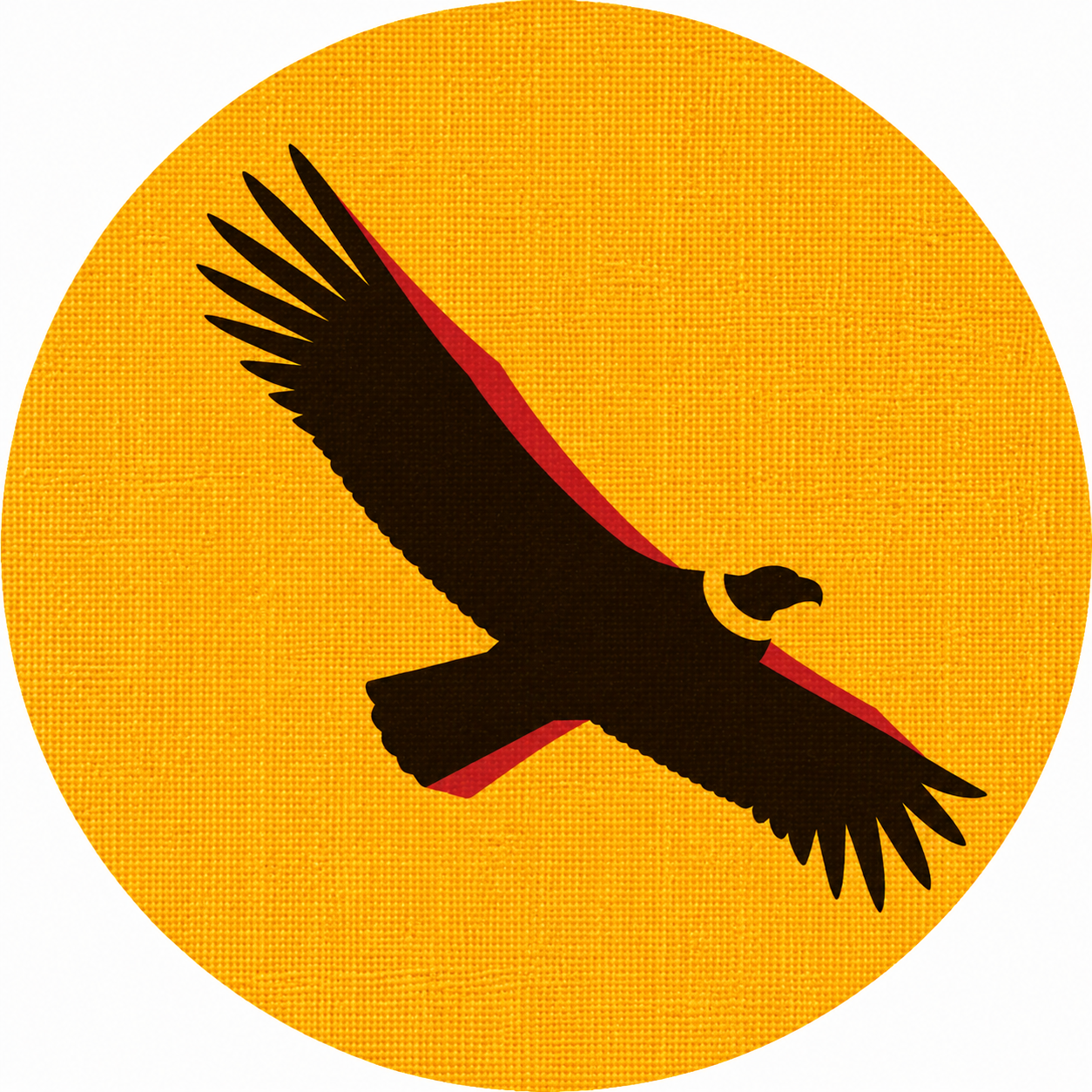 Hello Condor